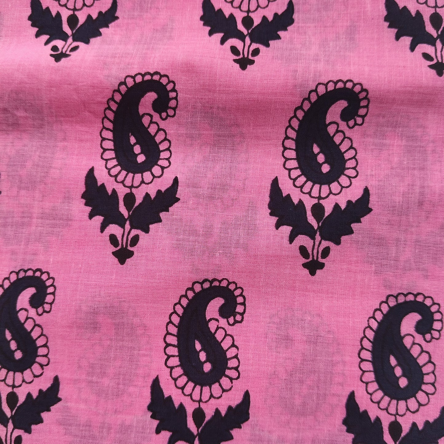 Pink & Black