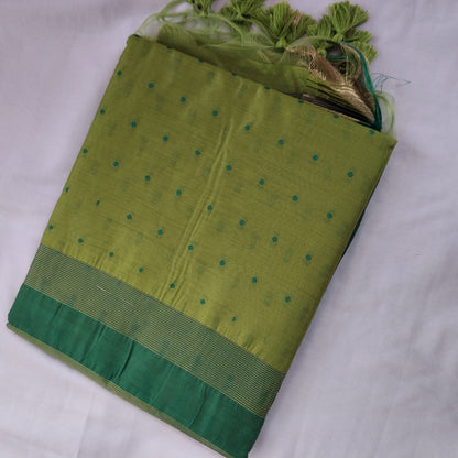 Parrot Green